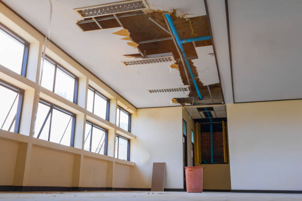 Best Professional water damage repair  in Dellwood, MN