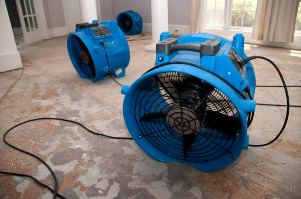 Best Basement water damage restoration  in Dellwood, MN