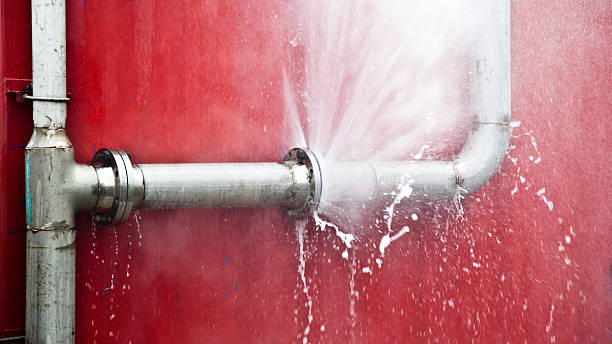 Best Flooded house restoration  in Dellwood, MN